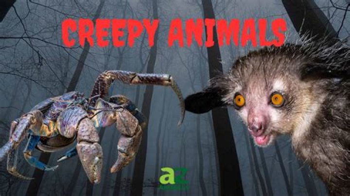 7 Scariest Animals and Creatures of Your Nigthmares Curious Droid