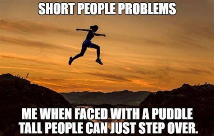 Best short people jokes, memes and puns Legit.ng