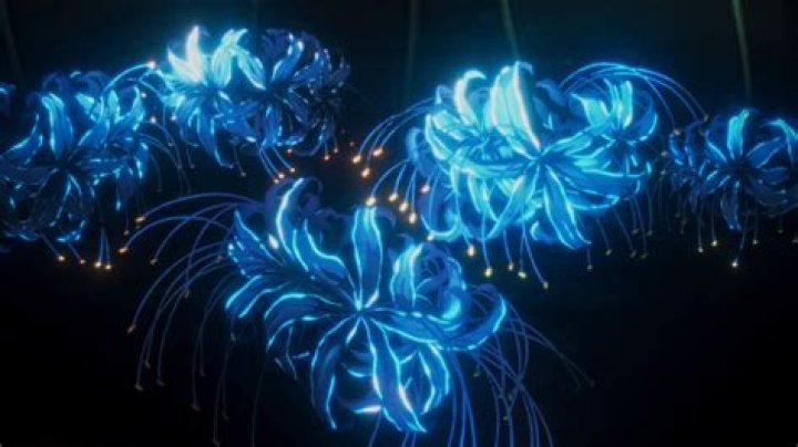 Blue Spider Lily Kimetsu no Yaiba Wiki Fandom