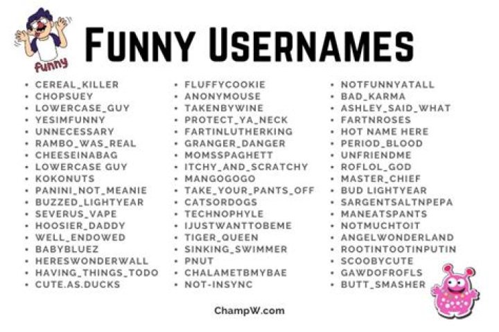 Funny Usernames 400+ Funny Usernames for Games