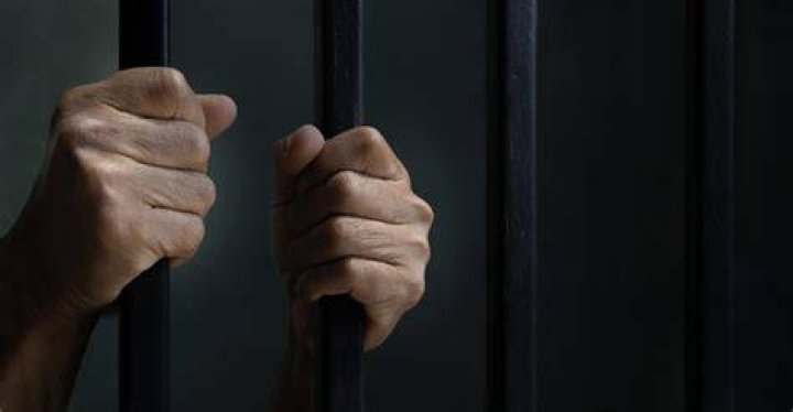 Is Molly Nobbitt Behind Bars: Truth About Her Incarceration