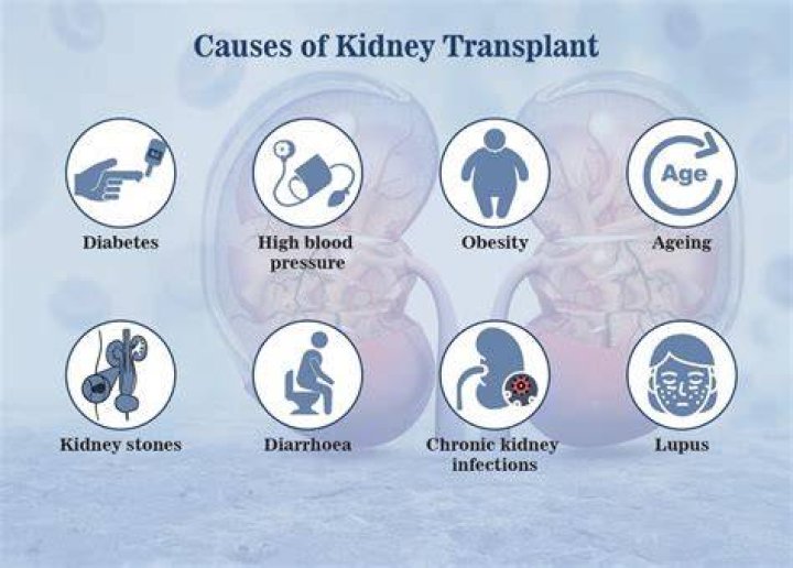 Kidney Transplant Scars: Causes, Treatment Options, And Prevention
