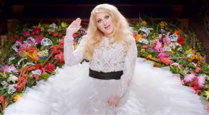 Meghan Trainor's Father Struck by Vehicle in Apparent HitandRun