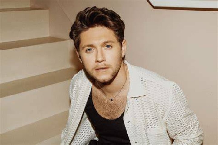 Niall Horan on (With images) Niall horan, Grammy, Celebrity couples