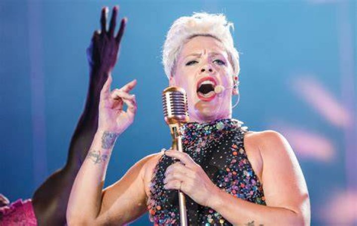 Pink apologises to fans for cancelling her show at the last minute 'It