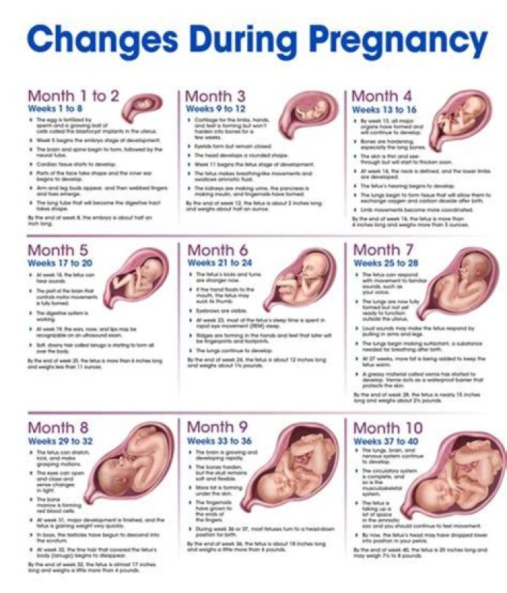 The Pregnancy Journey Of Jacqui MacInnes Wood