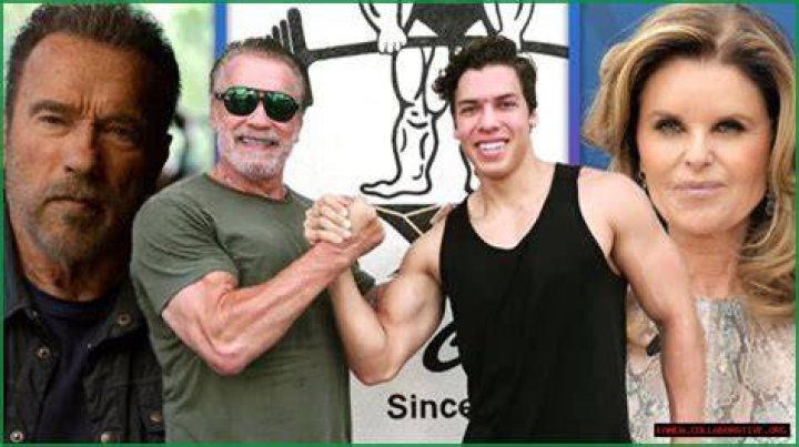 The Trailblazing Debut Of Schwarzenegger's Cinematic Journey