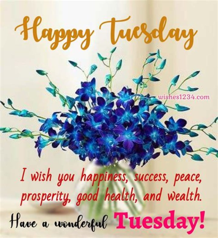 Tuesday Images Quotes Wonderful for facebook and whatsapp