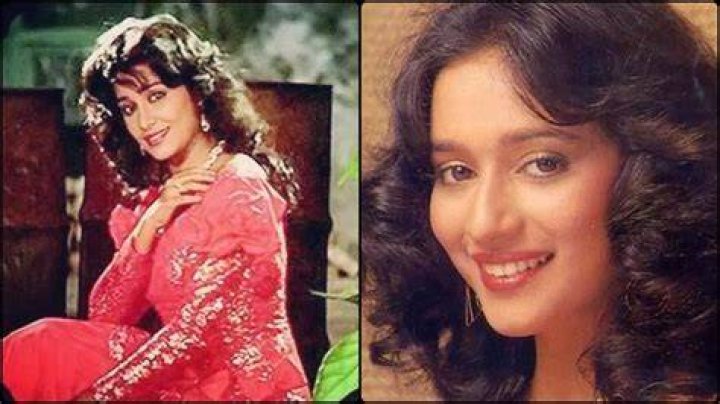 VIDEO This lookalike of Madhuri Dixit created a buzz, husband Shri Ram