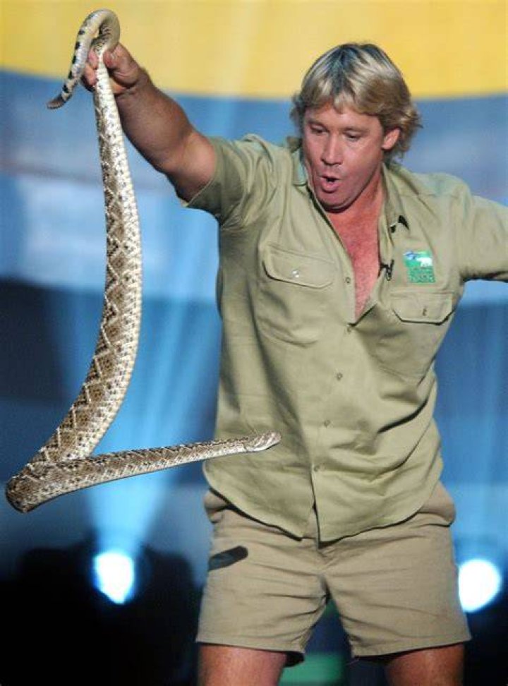 Would Steve Irwin's Wife Terri Ever Remarry? The 'Crikey! It's the